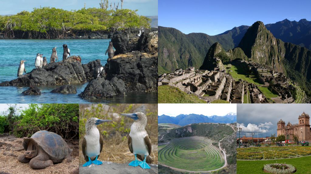 Machu Picchu and Galapagos Islands