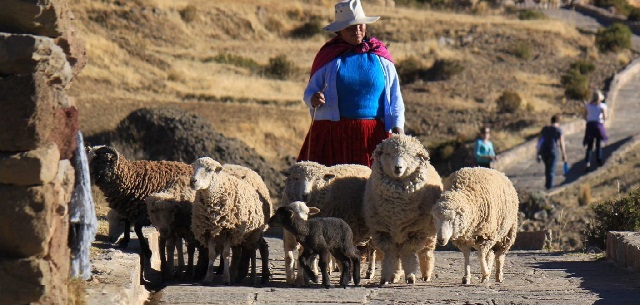 Tour 14 Días a Perú-boton