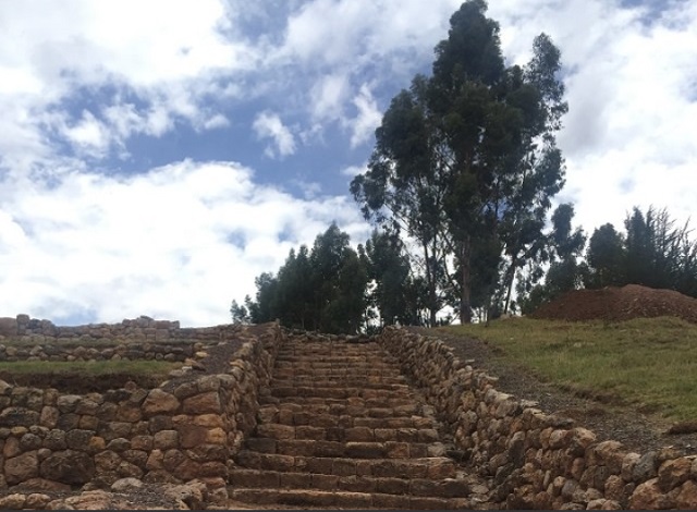 Avistamiento de aves Cusco